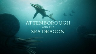 David Attenborough a mořský drak – plakát filmu