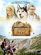 Timber - Lovec pokladů – plakát filmu