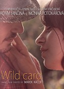 Divoká karta – plakát filmu