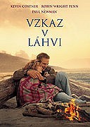 Vzkaz v láhvi – plakát filmu