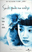 Sníh padá na cedry – plakát filmu