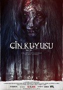 Cin Kuyusu – plakát filmu