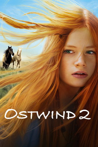 Rychlý jako vítr 2 - Vítězství – plakát filmu