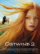 Vichr 2 – plakát filmu
