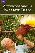 David Attenborough: Rajští ptáci – plakát filmu