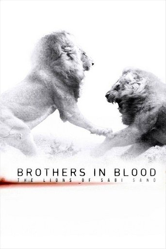 Brothers in Blood: The Lions of Sabi Sand – plakát filmu
