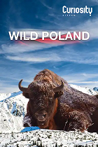 Krásy divokého Polska – plakát filmu