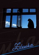 Zdenka – plakát filmu