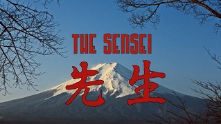 The Sensei – plakát filmu