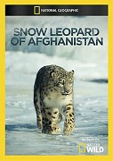 Irbis horský z Afghánistánu – plakát filmu
