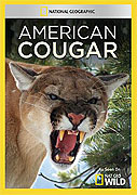 Americká puma – plakát filmu