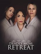 Nebezpečné pronásledování – plakát filmu