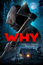Why? – plakát filmu