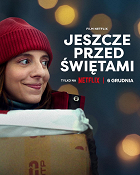 Doručení do Vánoc – plakát filmu