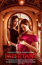 Hanebný návrh – plakát filmu