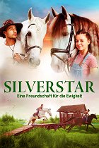 Stříbrňák – plakát filmu