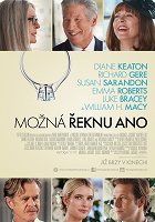 Možná řeknu ano – plakát filmu