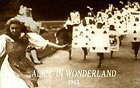 Alice in Wonderland – plakát filmu