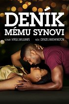 Deník mému synovi – plakát filmu