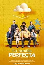 Dokonalá famílie – plakát filmu